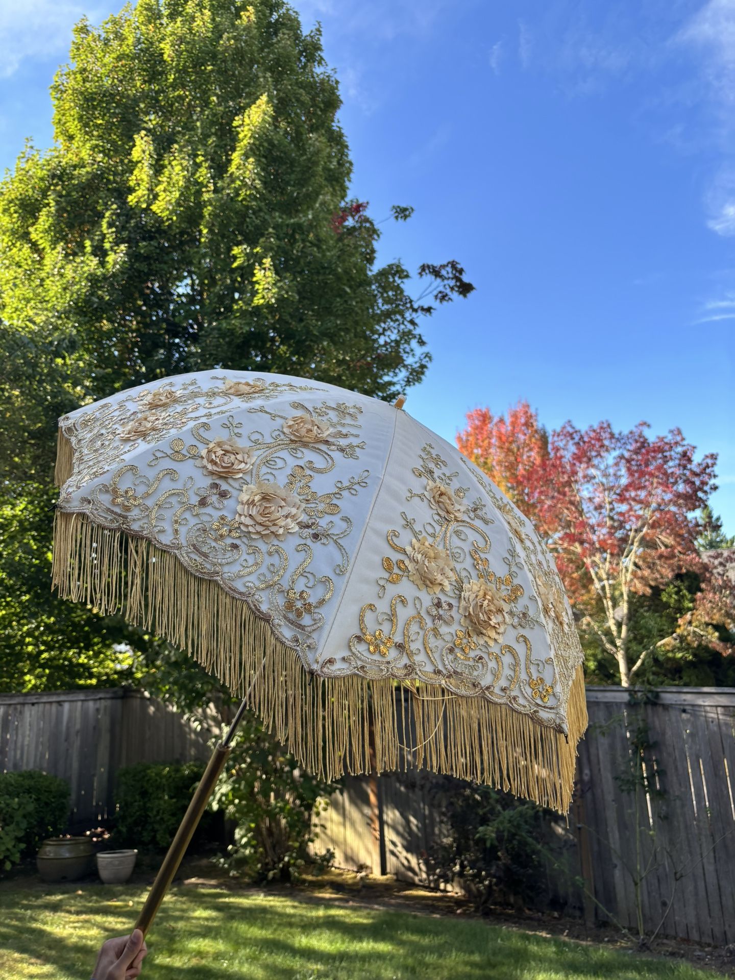 Wedding Indian Baraat Bride Groom Umbrella