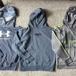 3 Boys Large Hoodies 