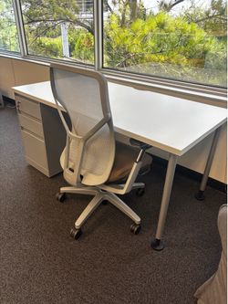 48x24  desk. Or  60x30 or 72x30