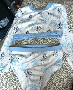 Bluey Swim Suit