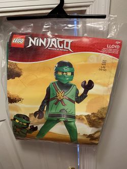 Halloween costume size 10-12