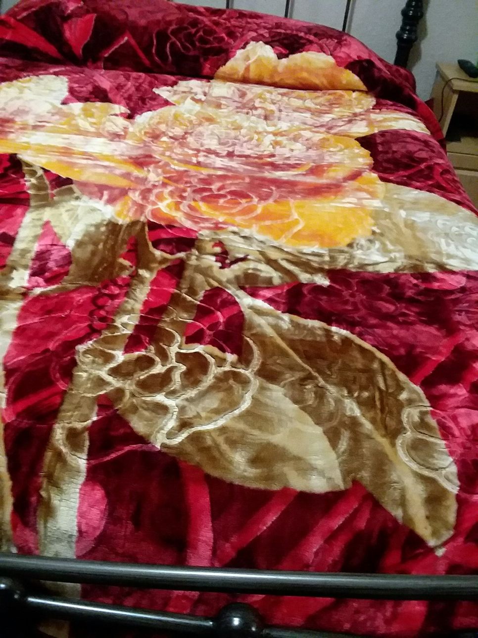 Llego el invierno ...