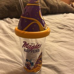 Disney Tumbler