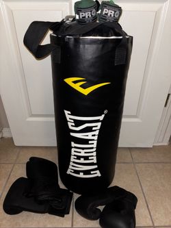 Everlast Heavy Bag & Gloves