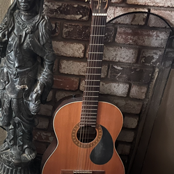 Acoustic Bear Guitar