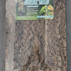 Terrarium Background 18x24