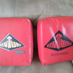 Punch Bag