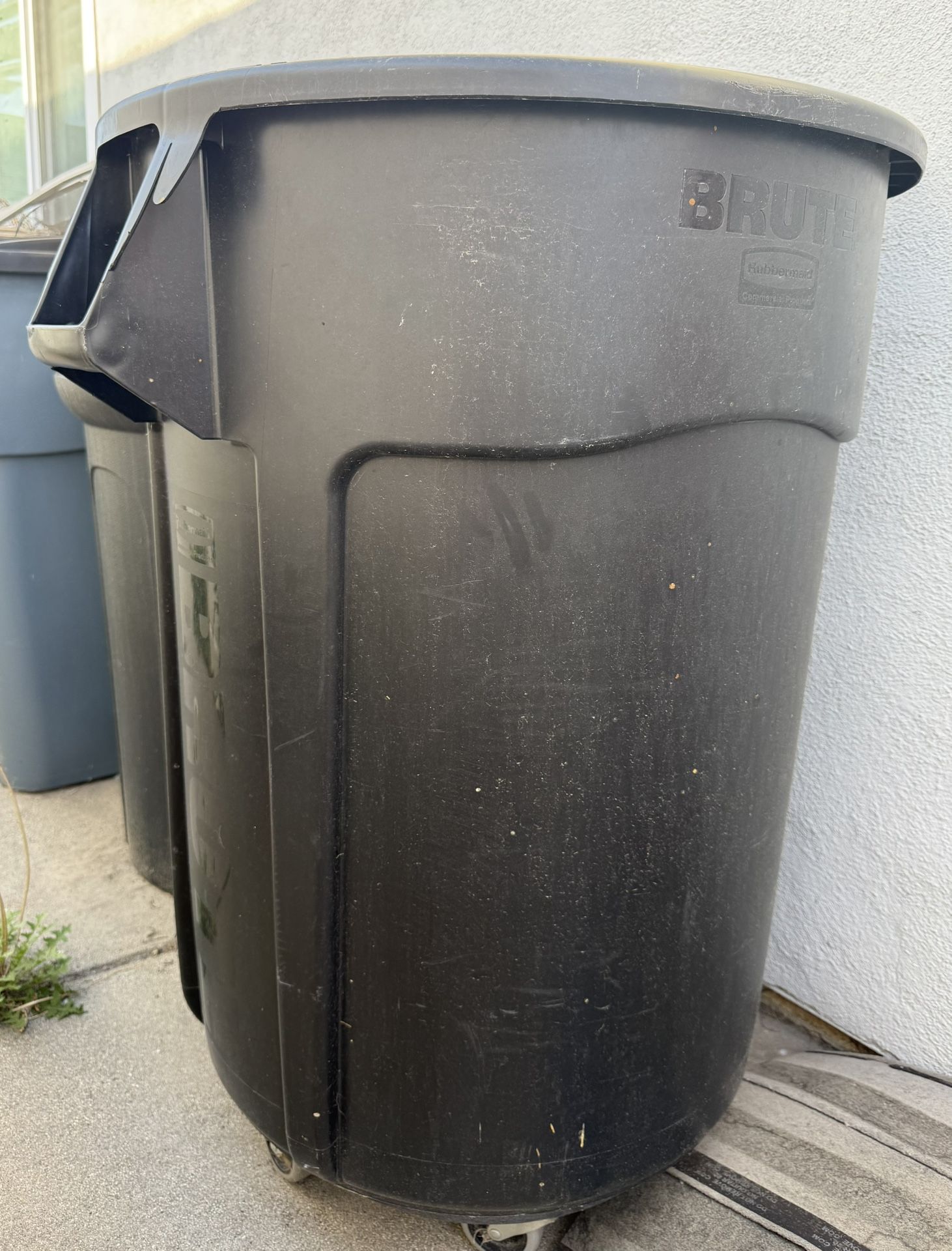 Bin