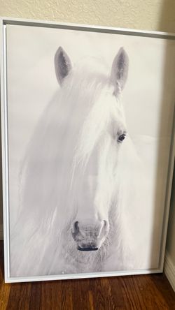 White Horse Framed Wall Art Print