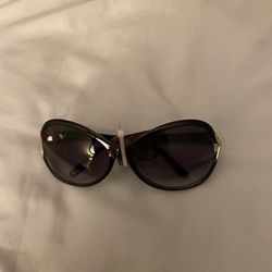 Ladies Fashion Sunglasses 