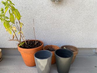 Assorted Pots