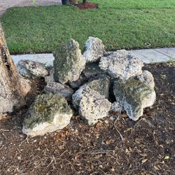 Landscaping Garden boulder rocks $25 Each