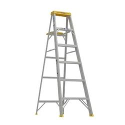 Werner Aluminum Ladder