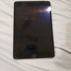 Ipad Mini 4 With 4/5G Connection