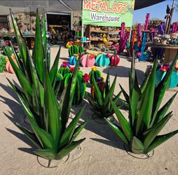 Garden Glow-Up🌵Cacti, Flowers,Ocotillos
Meta Yard Art🌺Planters