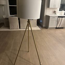 Modern Lamp