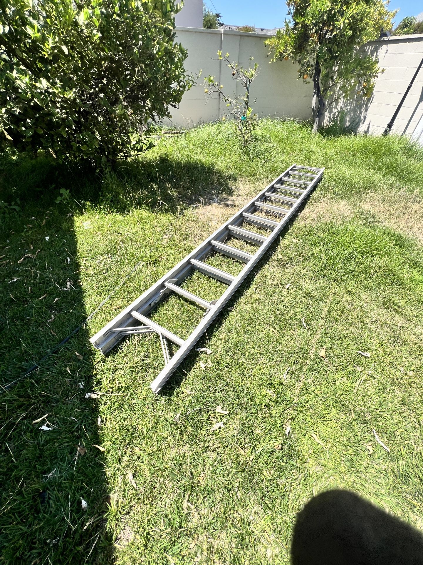 $1 Painter’s Ladder