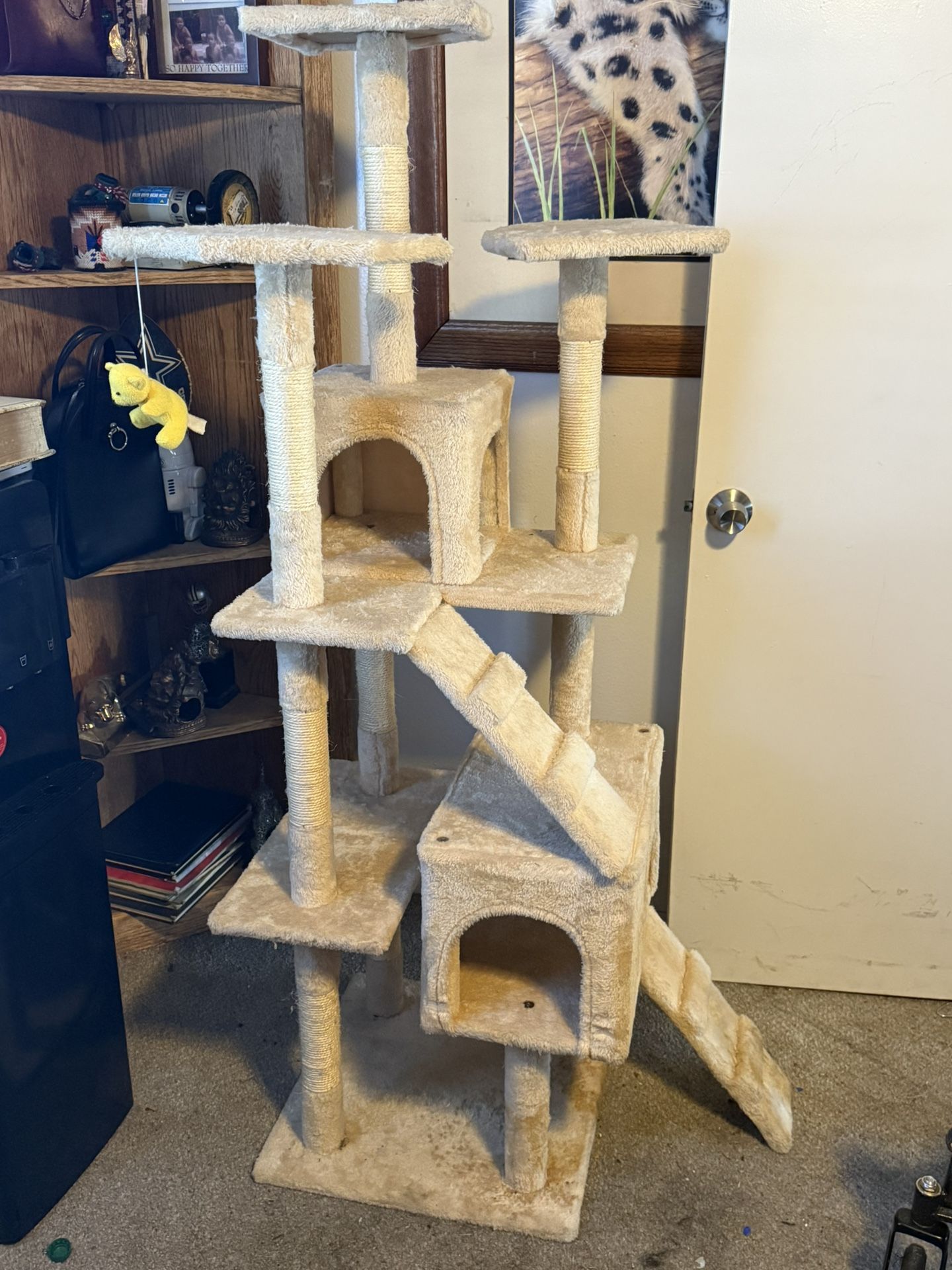 Cat Play House