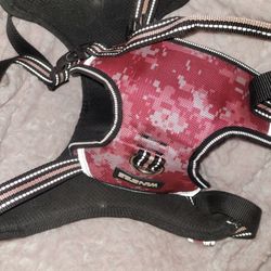 Dog Harnesses 