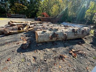 Free firewood. You haul