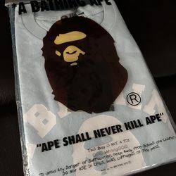 BAPE College Gradation Relaxed Fit Tee 2XL