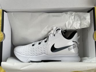 Lebron Witness 5 Size 11.5 