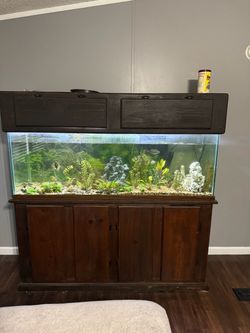 100 gallon aquarium