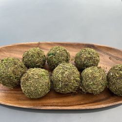 Moss Ball And Plate Decoration 