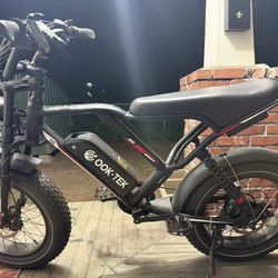 Electric Bike 