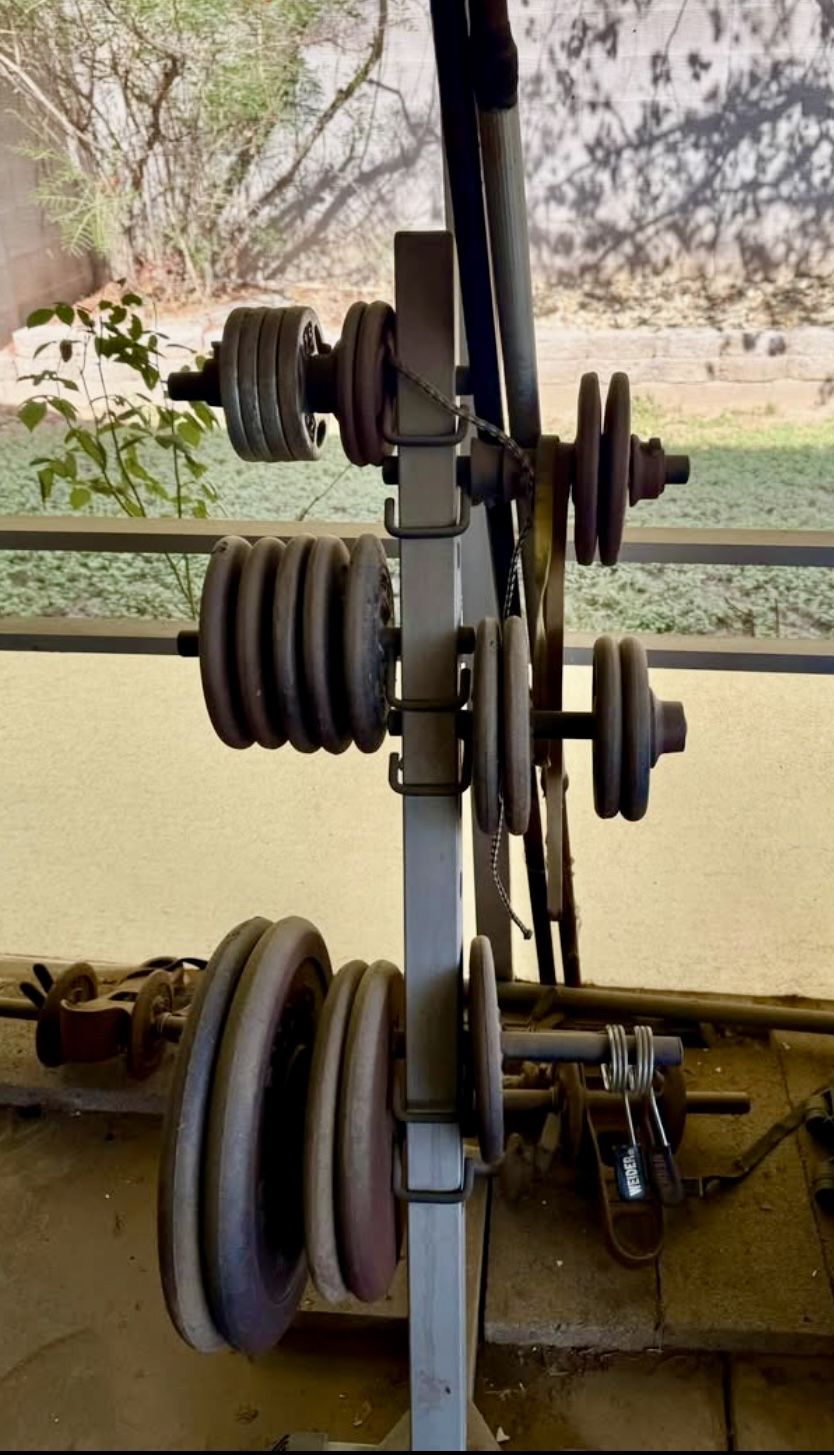 Weight Plates with Tree
