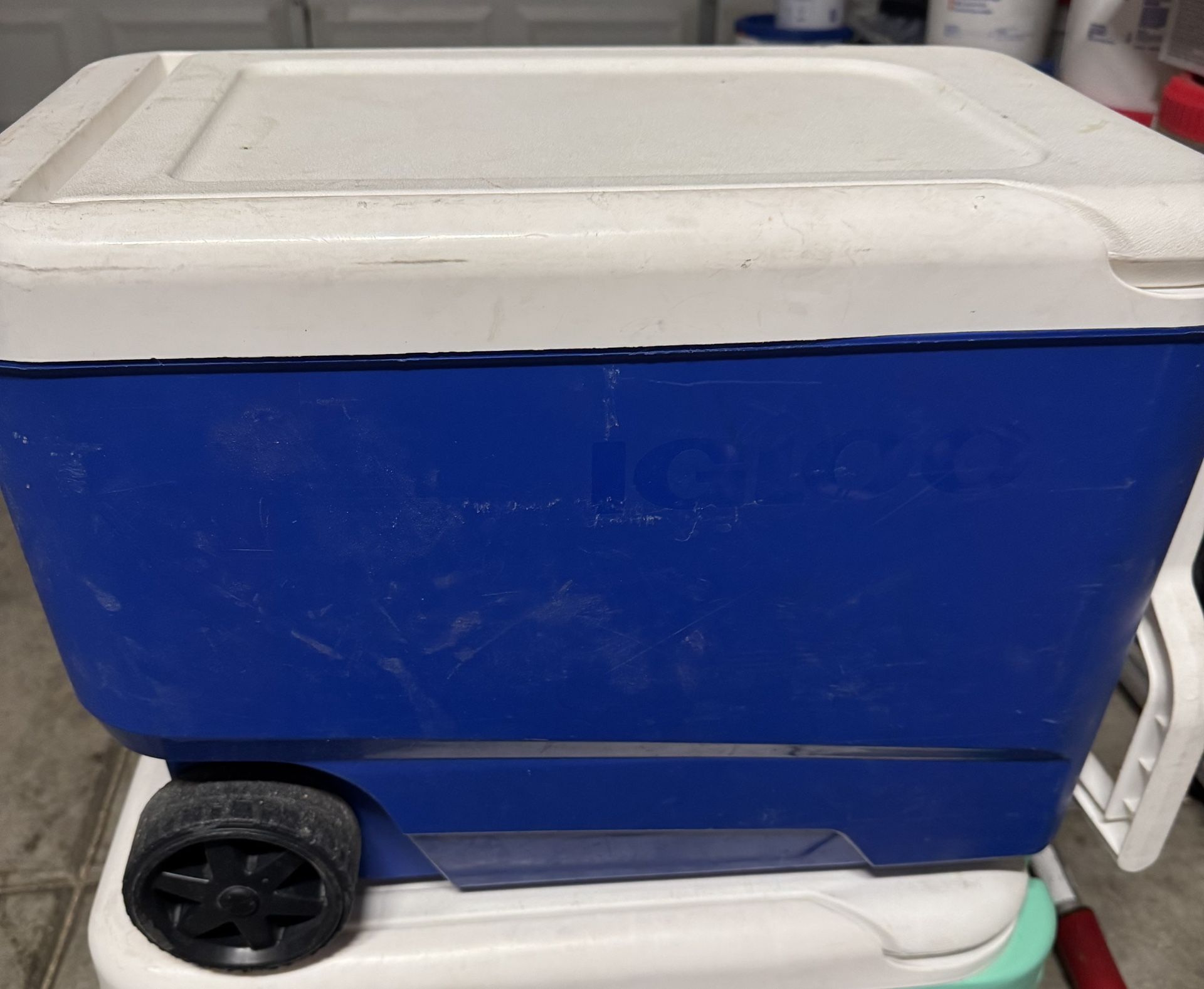 Igloo Latitude 52qt Cooler