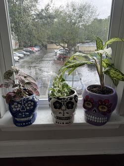 Tropical bundle