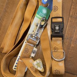 Pet Collar And Leash 