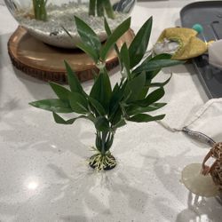 Fish Tank Plant 