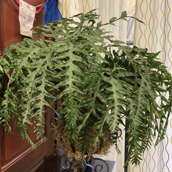 Silk Fern On Vintage Metal Tuscany Style Vase 