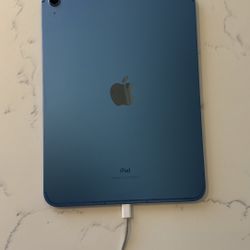 iPad 10th Generation Great Condition