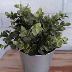 Faux Plant
