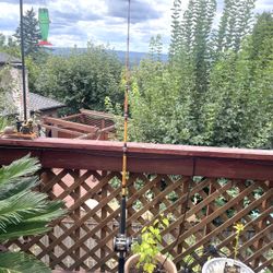 Shakespeare Ugly Stik Tiger BWC/AO2201 7’ Medium Rod 20-50lb W/ Penn 320GT2 Reel