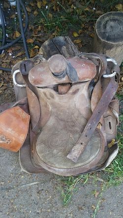 Saddle