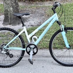 Trek Mountain Bike 21 Speed  