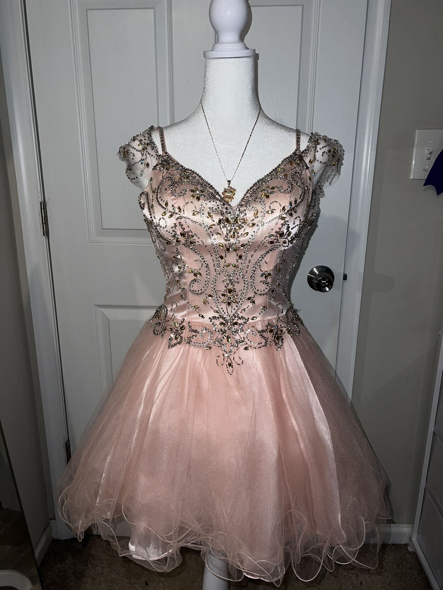 Petite Princess Blush Pink Dress