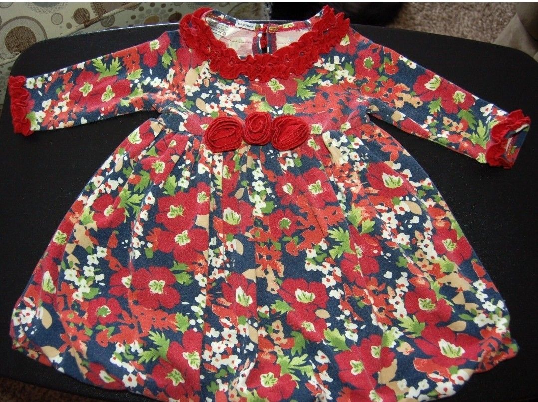 Pippa & Julie Girls 2T Floral Long Sleeve Dress