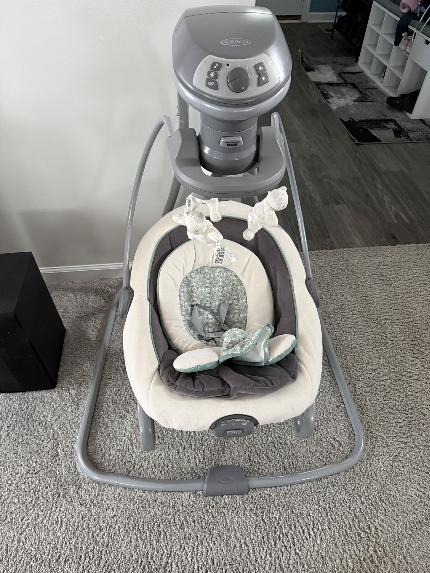Graco Baby Swing