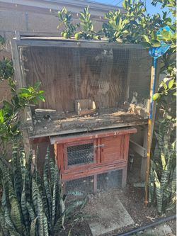 Chicken or bird coop