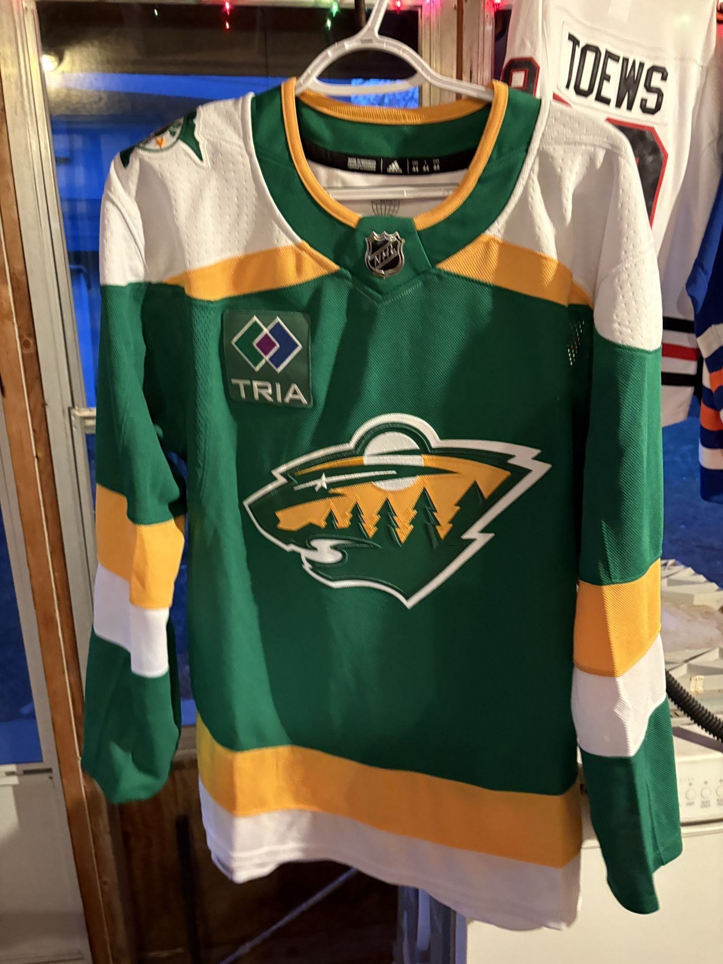 Minnesota Wild Alternate Jersey