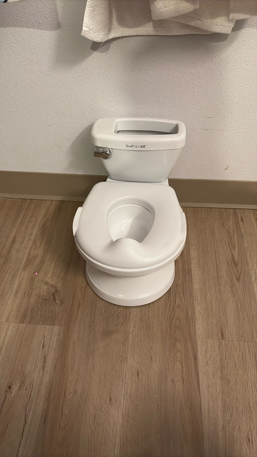 Toddler toilet