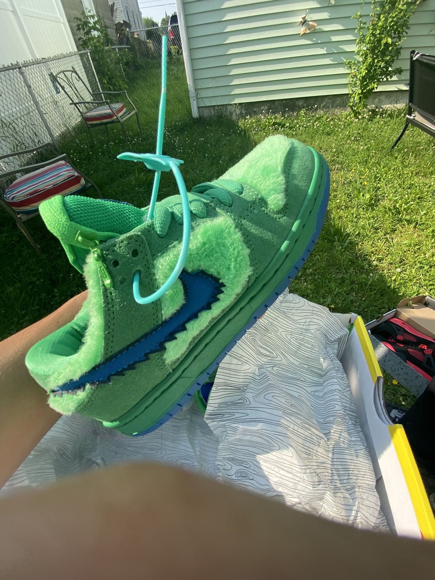 nike sb dunks