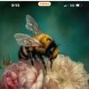 POLLEN & PETALS 