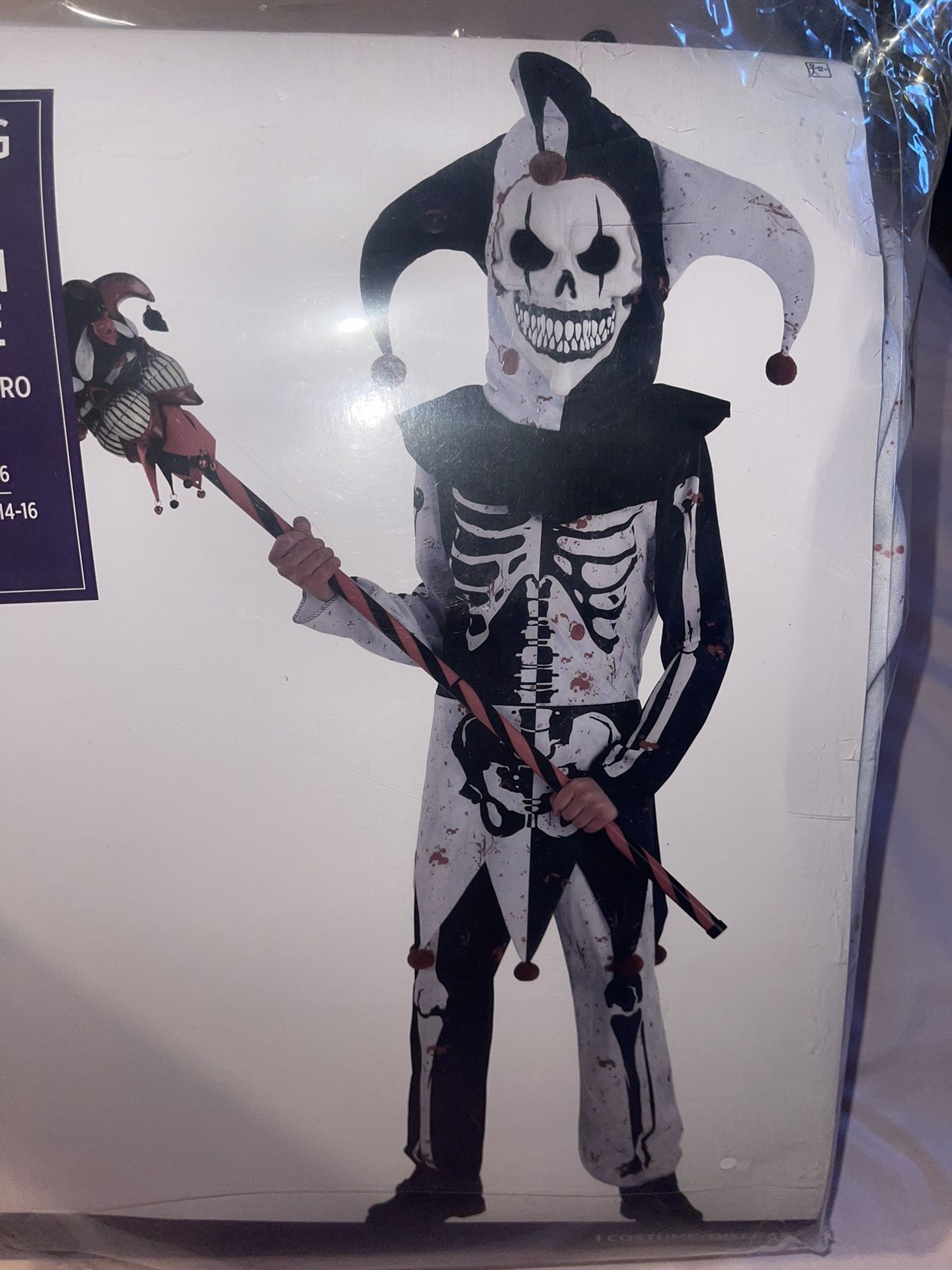 New Halloween Costume 14/16