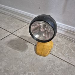 Dewalt Flashlight No Battery 